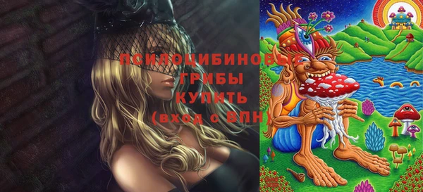 гидропоника Белоозёрский