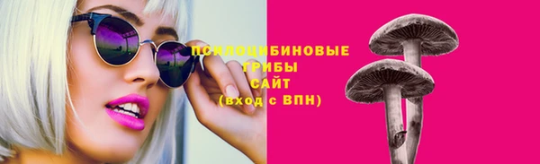 крисы Белокуриха