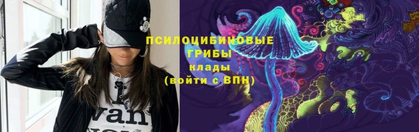 крисы Белокуриха