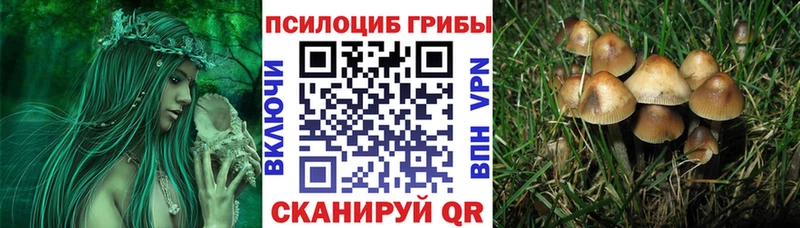 Галлюциногенные грибы мухоморы  Купить  Балашов 